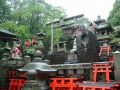 Kyoto : Inari